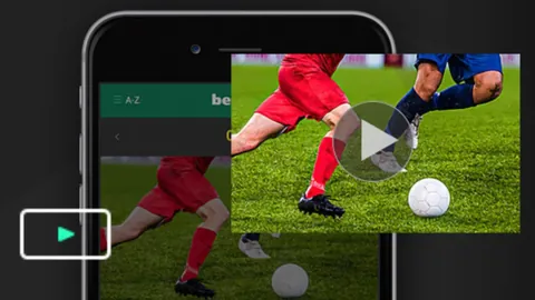 20年前爱猫运动：魔兽谣言引爆的回忆潮